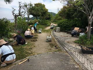 錦海ナチュラルガーデンクラブ